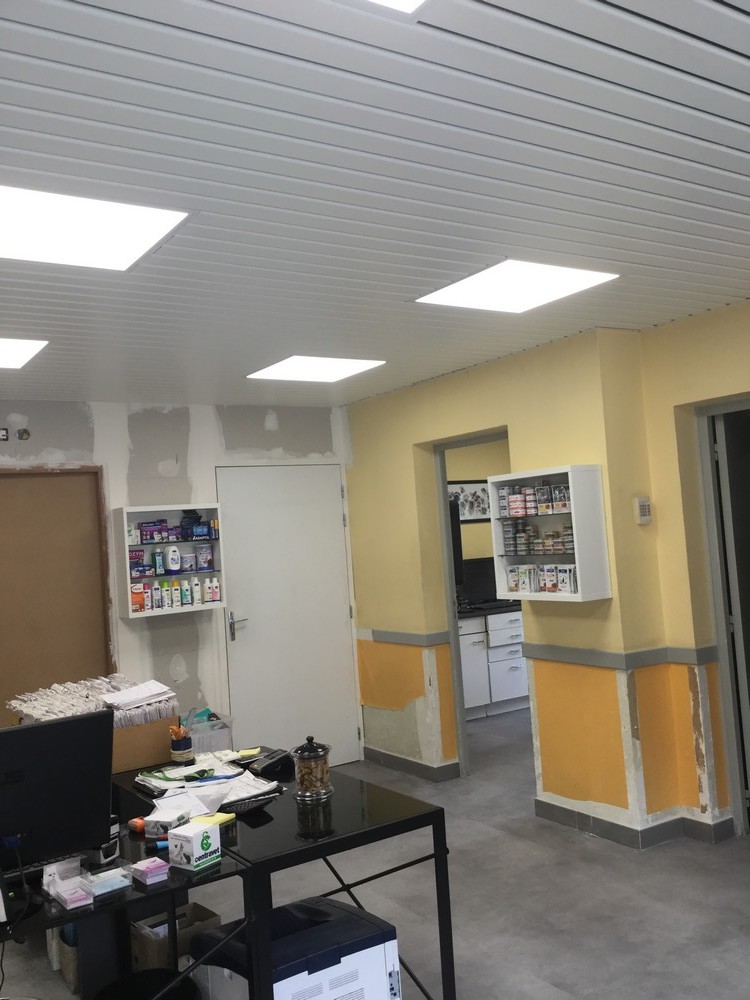 Clinique vétérinaire - Triel-sur-Seine — photo 6